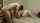 stockings amateur uniform
