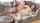 big tits curvy stepmom