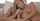 blond cumshot facial