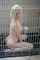 pornstar sex blonde