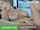 camgirl masturbation big tits