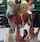lesbian kissing milf