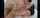 cumshot blowjob straight