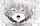 comic hentai ahegao