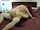 wife milf shared