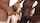 gangbang interracial double penetration