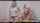 camgirls sisters lesbian