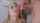 blonde blowjob perfect