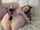 camgirl redhead cute
