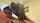 gay interracial bbc