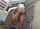 teen asian abused