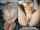 milf creampie blonde