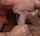 cum in mouth blowjob swallow