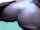 ebony small tits blowjob