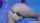 big ass dildo masturbating