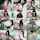 camgirl camshow asian