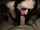 blowjob beg cumshot