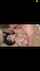 mandy muse ryan madison deep