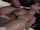 bigtits doggystyle creampie