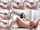 camgirl dildo anal