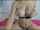 big boobs fake tits fake boobs