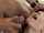 cum cumshot facial