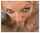 blonde blowjob piercing