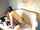 jav japanese stocking