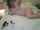 camgirl serenitygoode chaturbate