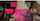 lesbian interview fishnet