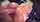bangbros blondie big ass