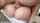 mating press missionary ass