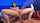 jav dark hair squirting