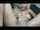 camgirl asian vibrator