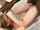 interracial cuckold amatuer