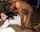 brunette interracial bbc