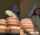 camgirl coub amateur