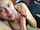 amateur blowjob swallow