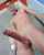 big cock penis dick
