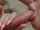lady dee shower blowjob
