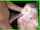 blonde throat fuck bbc