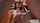 black blowjob kitchen