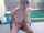 camgirl amateur bigtits