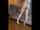 pornhub creampie blonde