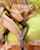 teen anal blonde