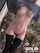 porn ad camgirl teen