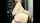 camgirl amateur asian