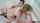 blonde blowjob threesome