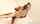 asian japan asia