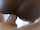black ebony anal